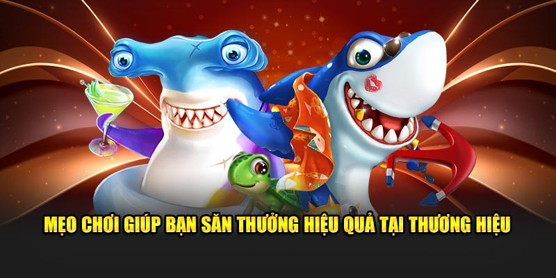 Mẹo chơi giúp bạn săn thưởng hiệu quả tại thương hiệu